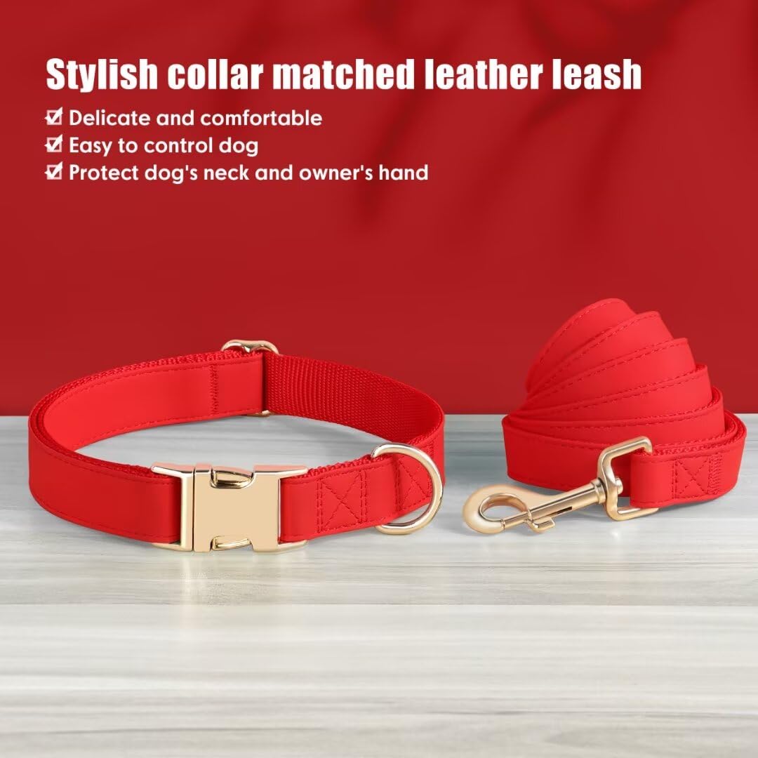 PET ARTIST matching collar and leash set shown on a dog for stylish walks.