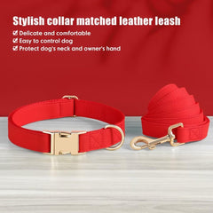 PET ARTIST matching collar and leash set shown on a dog for stylish walks.
