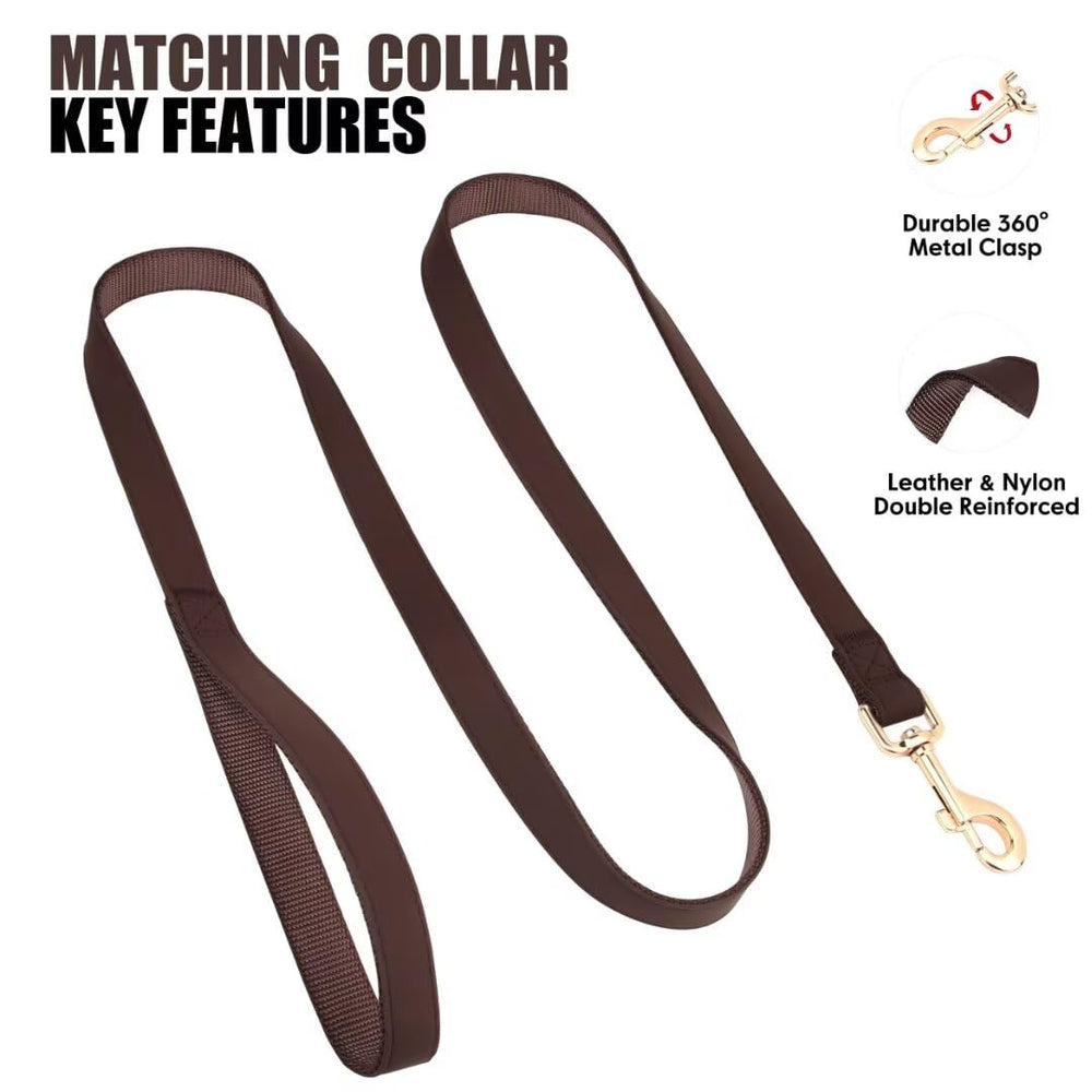 PET ARTIST matching collar and leash set on dog in park showcases chic, coordinated look.