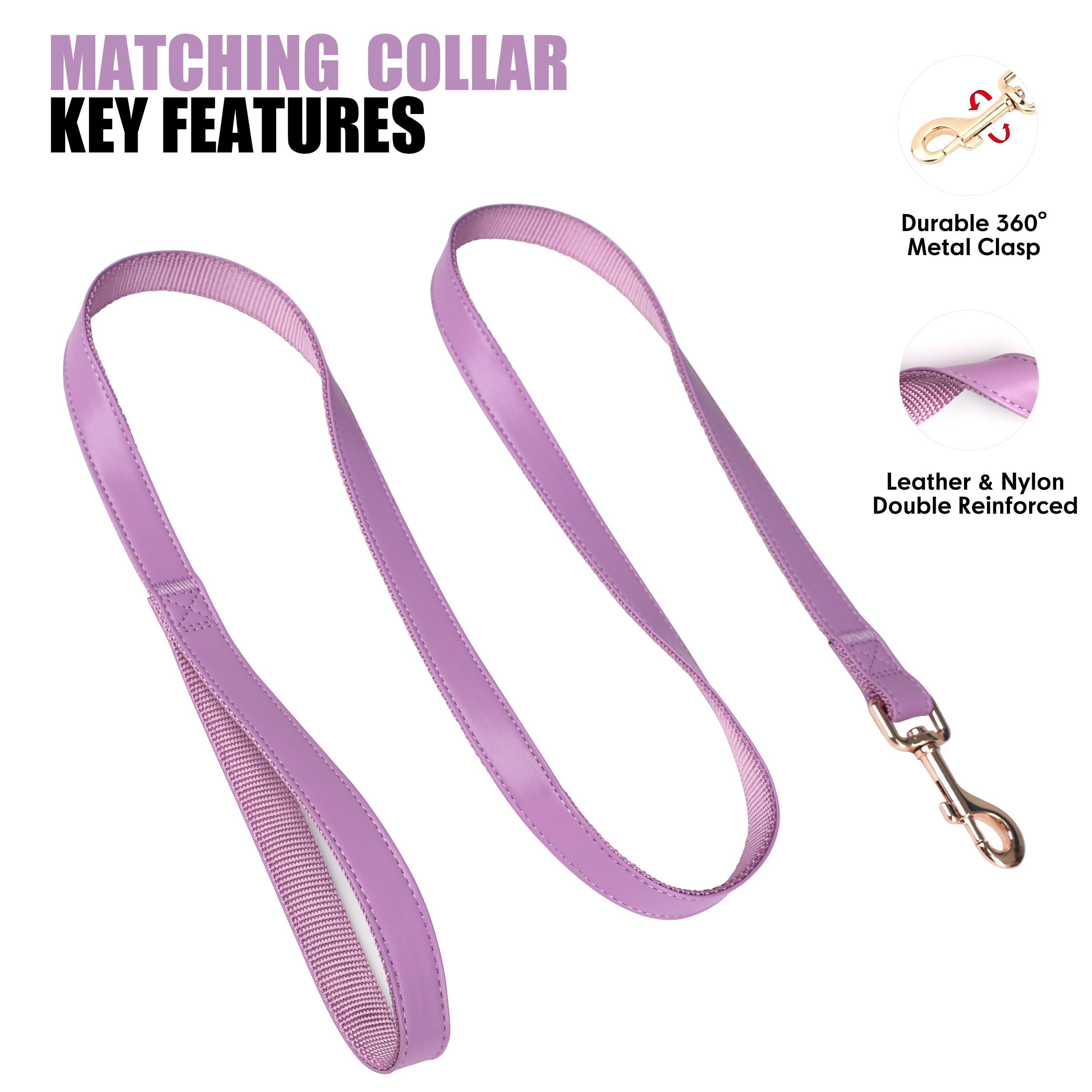 PET ARTIST matching collar and leash set on display