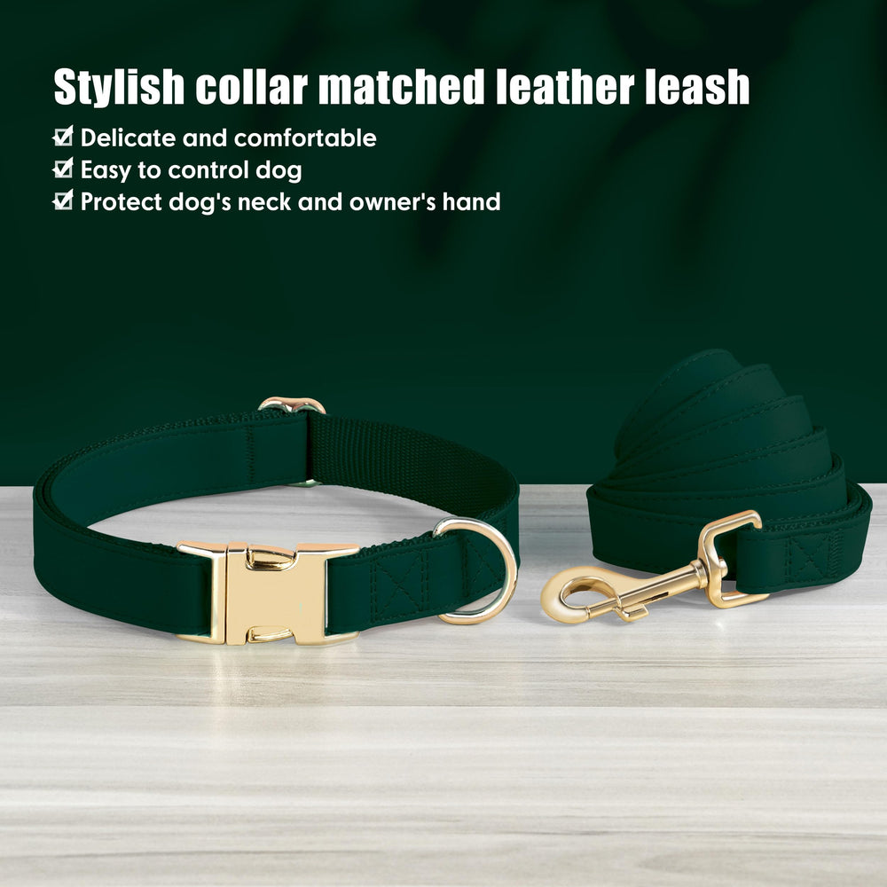 PET ARTIST matching collar and leash set for cohesive style.