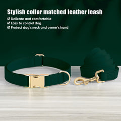 PET ARTIST matching collar and leash set for cohesive style.