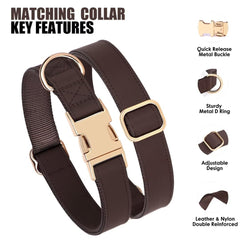 PET ARTIST matching collar and leash set creates a stylish coordinated look