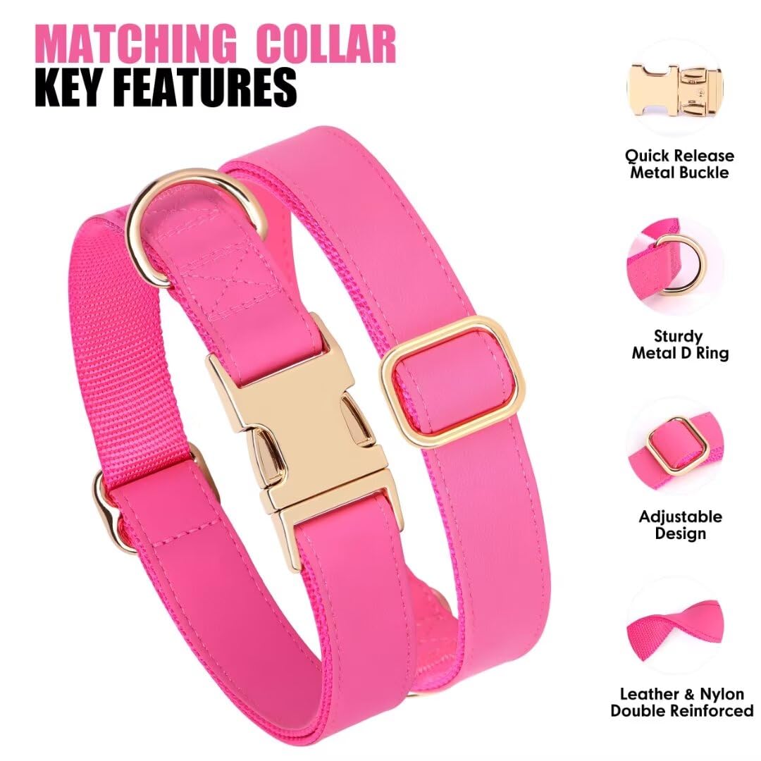 PET ARTIST matching collar and leash set elevates your dog's style.