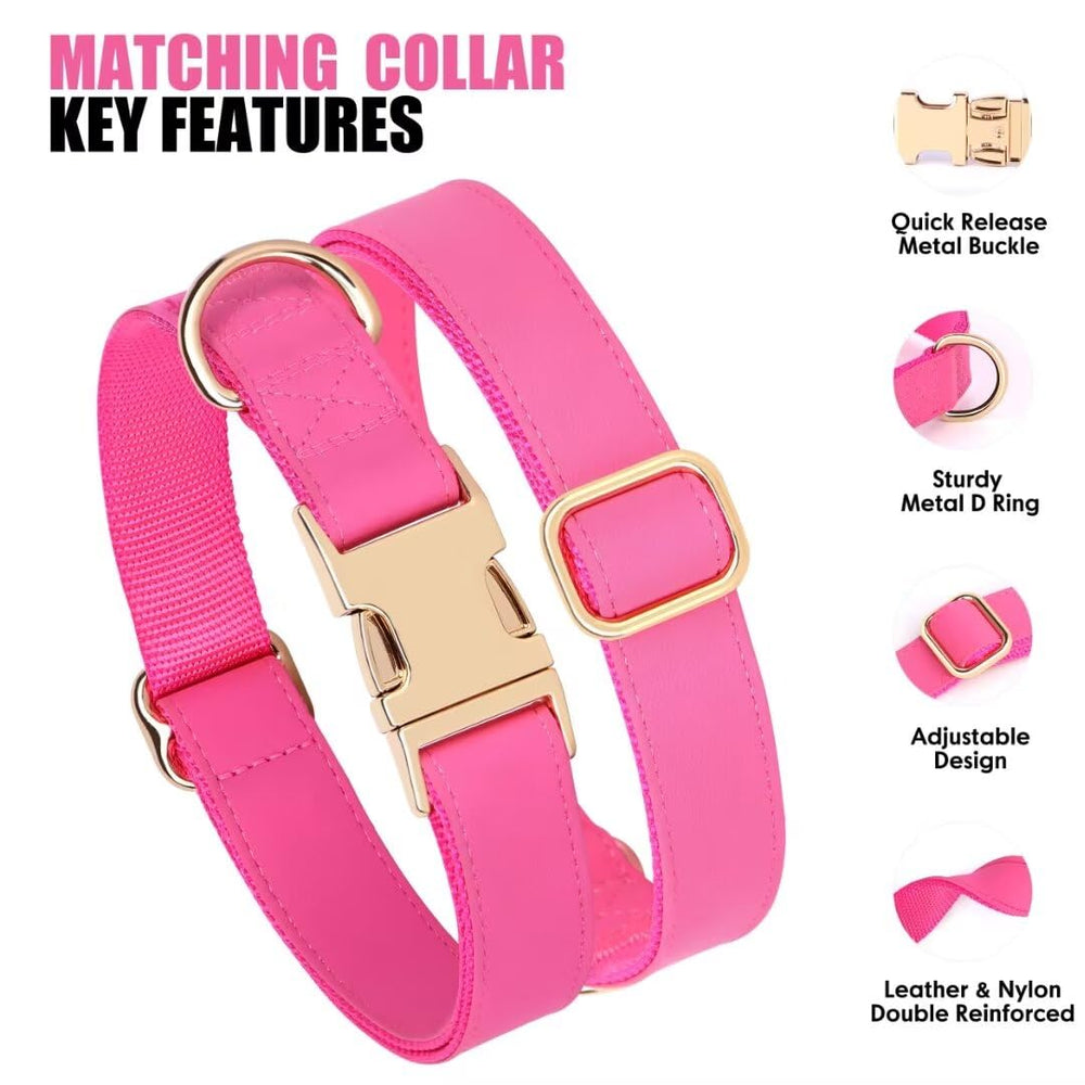 PET ARTIST matching collar and leash set elevates your dog's style.