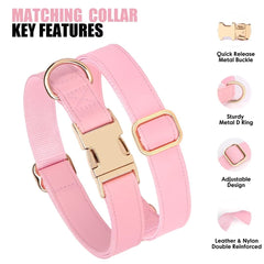 PET ARTIST matching collar and leash set for coordinated style.