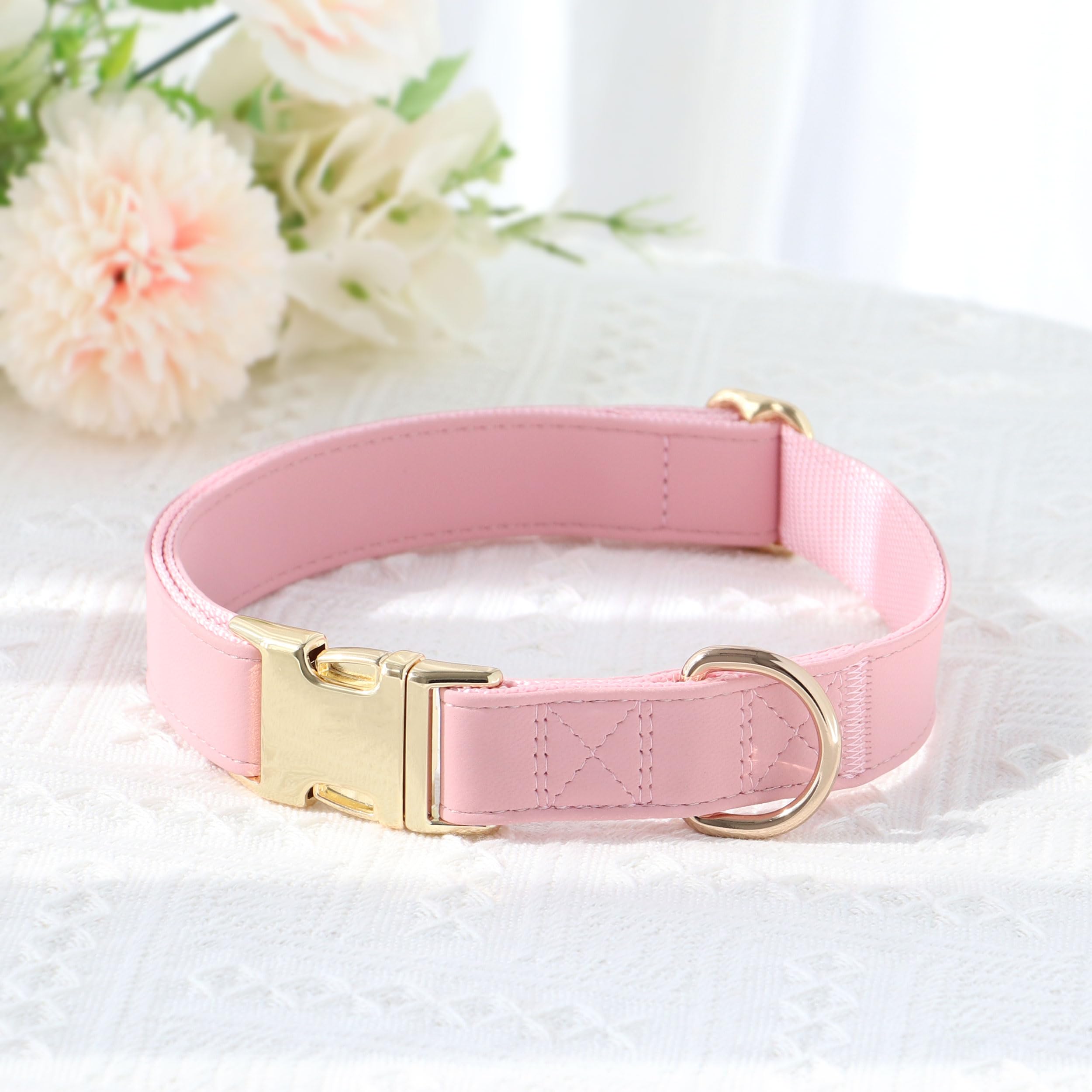 PET ARTIST matching collection dog collar close-up suggests coordinated daily wear with leash or harness