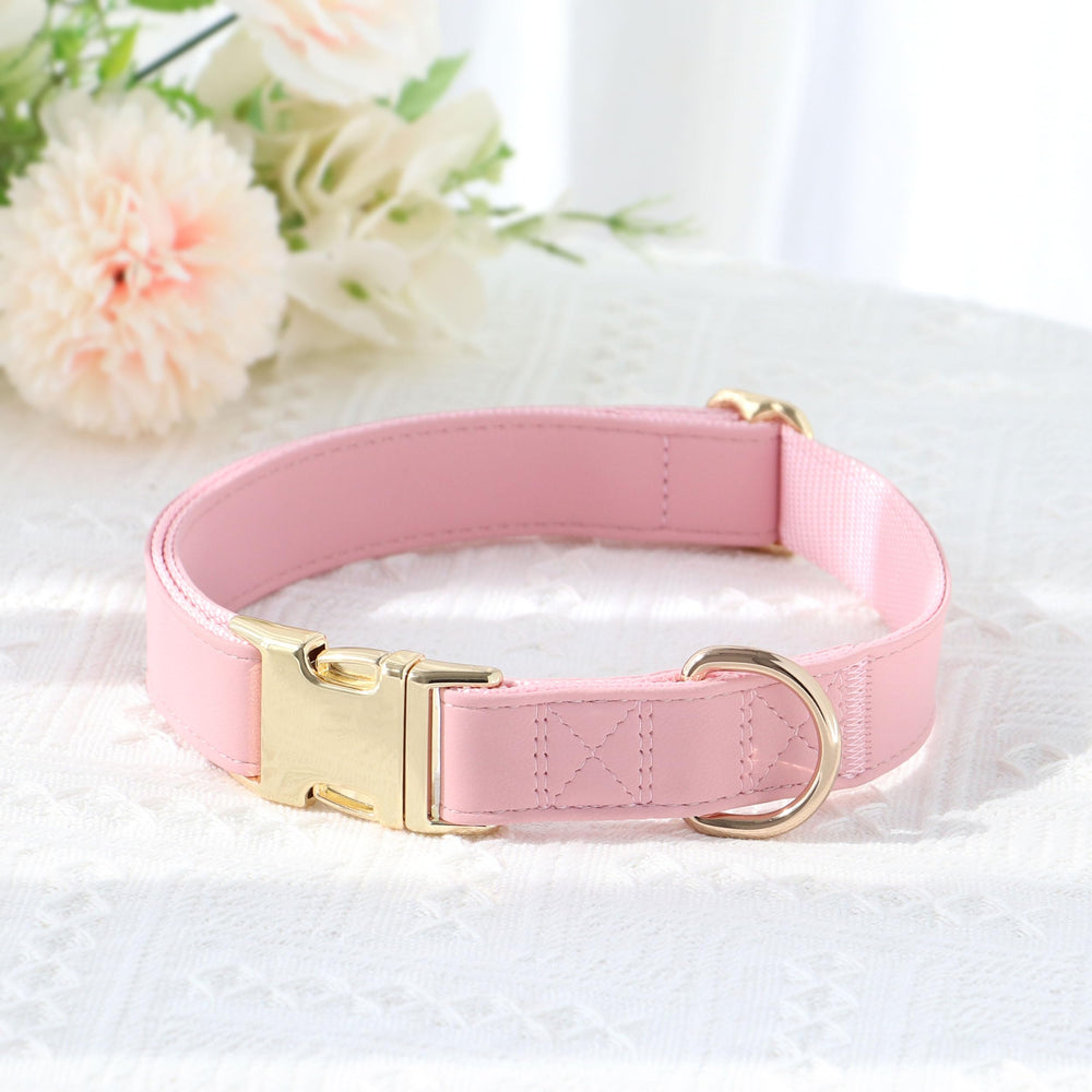 PET ARTIST matching collection dog collar close-up suggests coordinated daily wear with leash or harness
