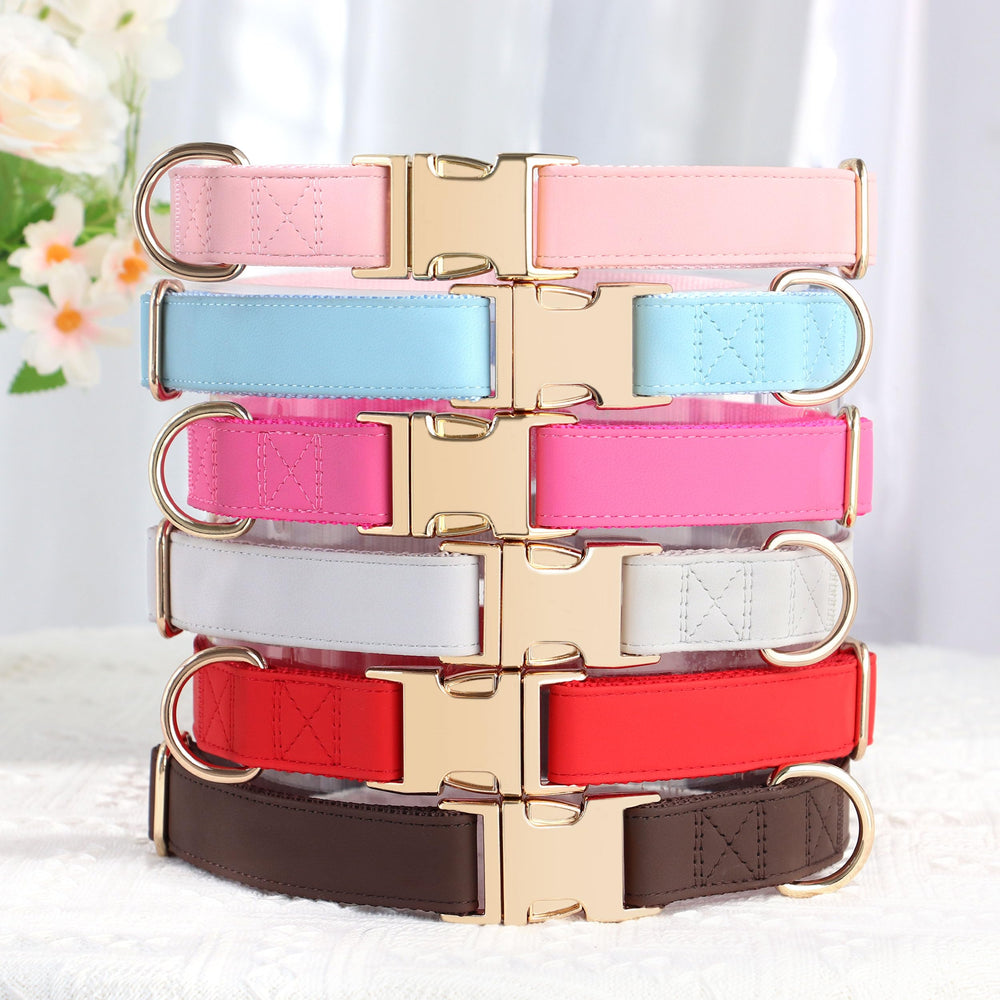 PET ARTIST nine-color options dog collar close-up showcases vibrant style choices for every personality
