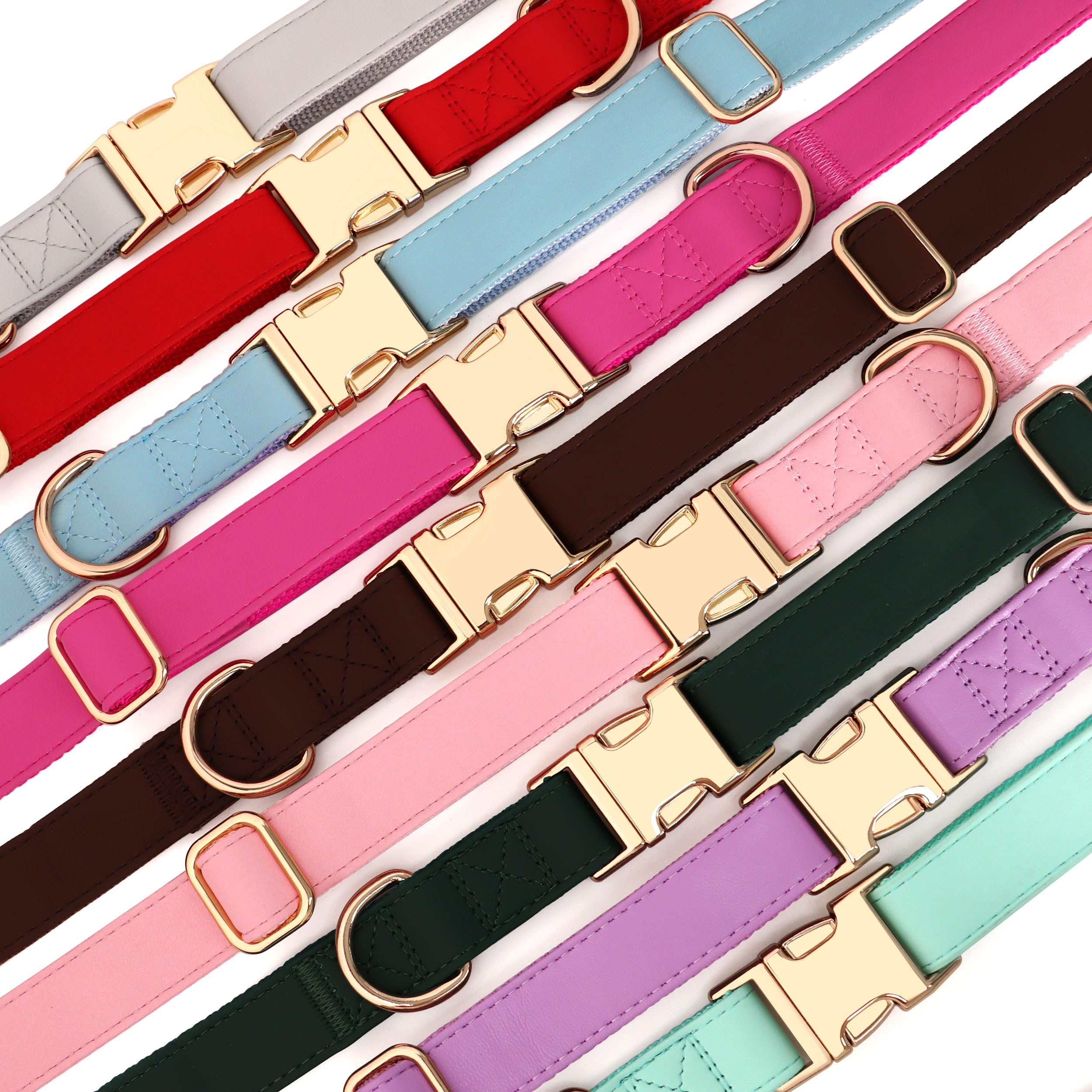 PET ARTIST padded nylon collar offers comfort without sacrificing durability.