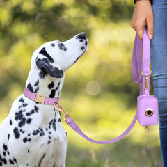 PET ARTIST PU leather dog collar soft nylon padding provides comfy all-day wear