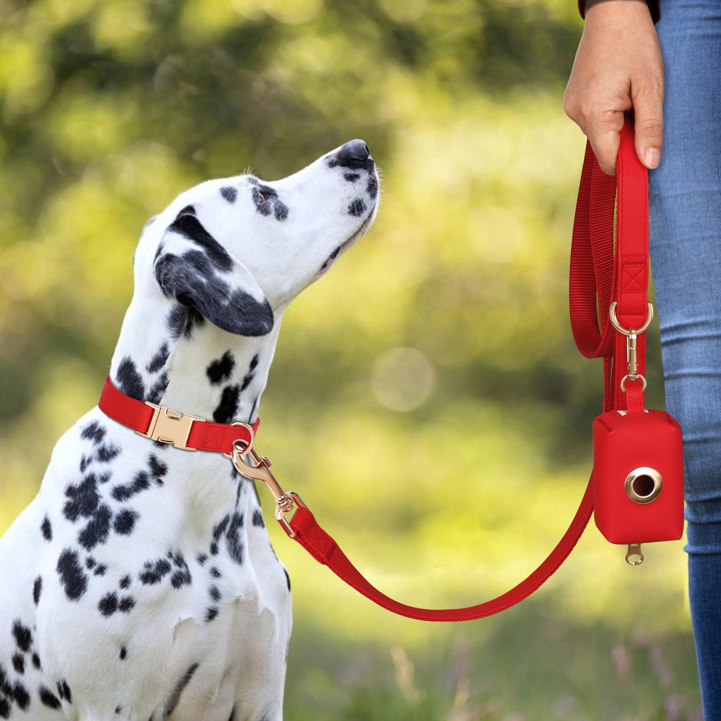 PET ARTIST quick-release buckle collar enables fast, secure removal during walks.