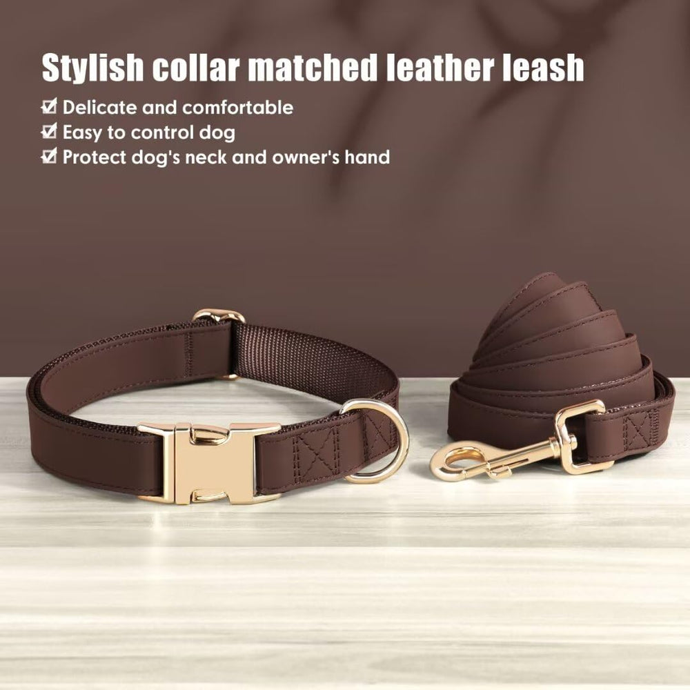 PET ARTIST quick-release metal buckle closeup for easy secure removal