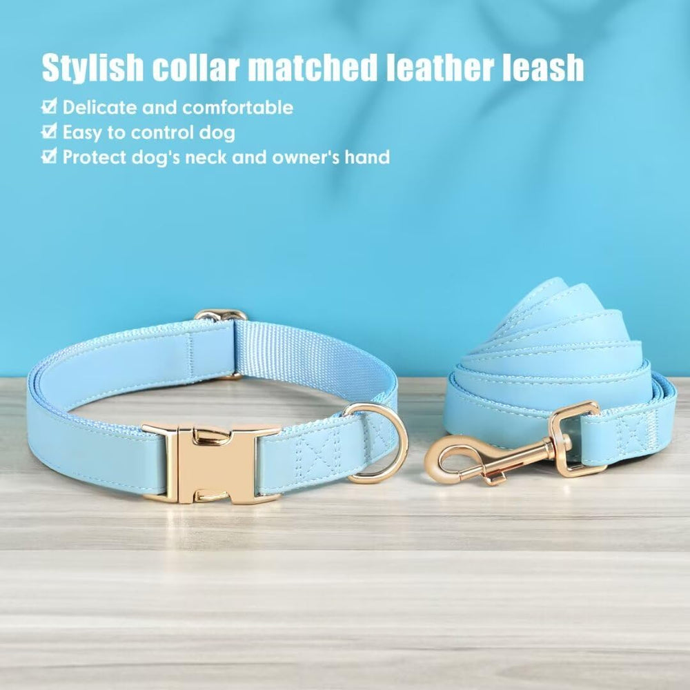 PET ARTIST blue collar close-up emphasizes durable alloy buckle for easy on/off