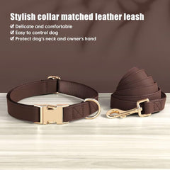 PET ARTIST quick-release metal buckle closeup for easy secure removal