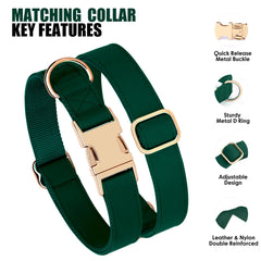 PET ARTIST quick release metal buckle collar for easy on and off.