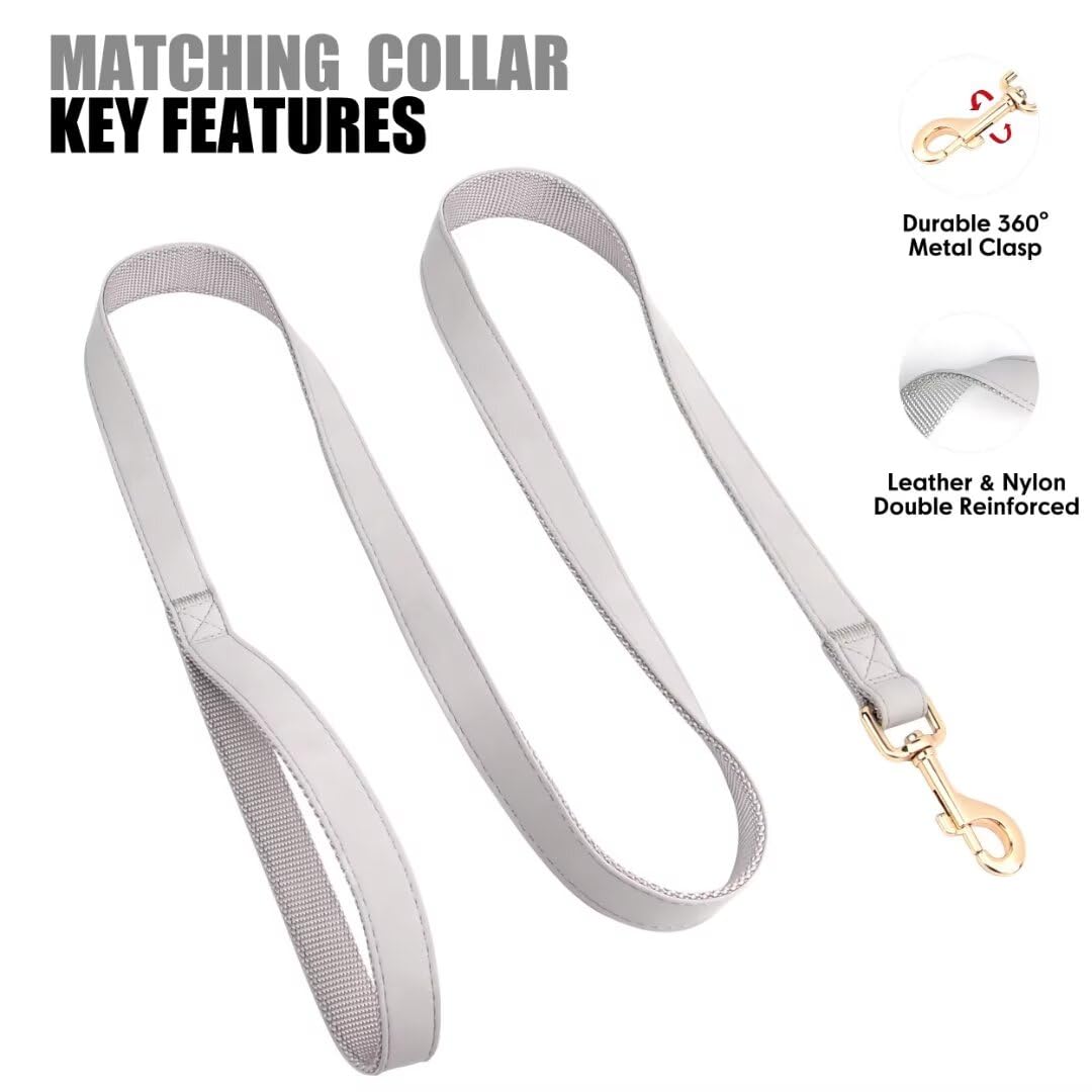 PET ARTIST quick-release metal buckle on leash for fast, simple removal.