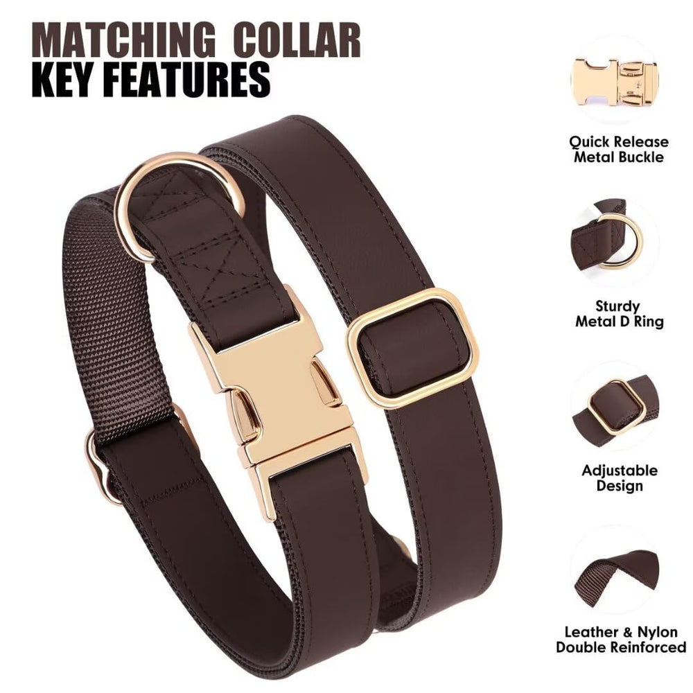 PET ARTIST quick-release metal buckle close-up emphasizes easy removal and secure fit.