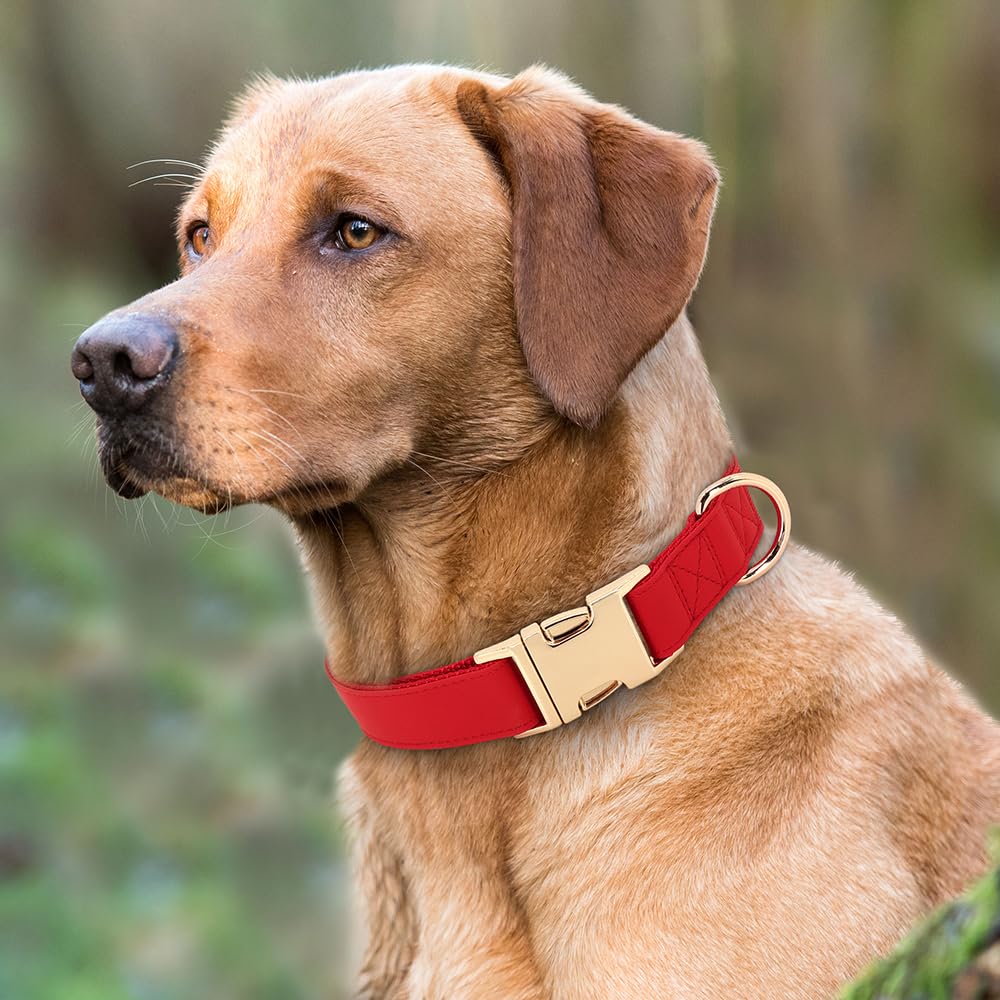 PET ARTIST rose-metal buckle dog collar provides durable quick-release for easy on/off.