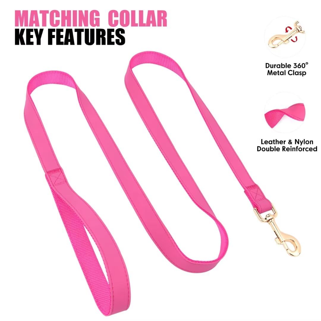 PET ARTIST Small Dog Collar 9-14 Inch demonstrates adjustable fit for tiny breeds.