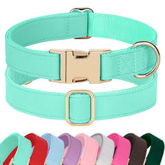 PET ARTIST Soft PU Leather Dog Collar with bright colors for everyday wear.