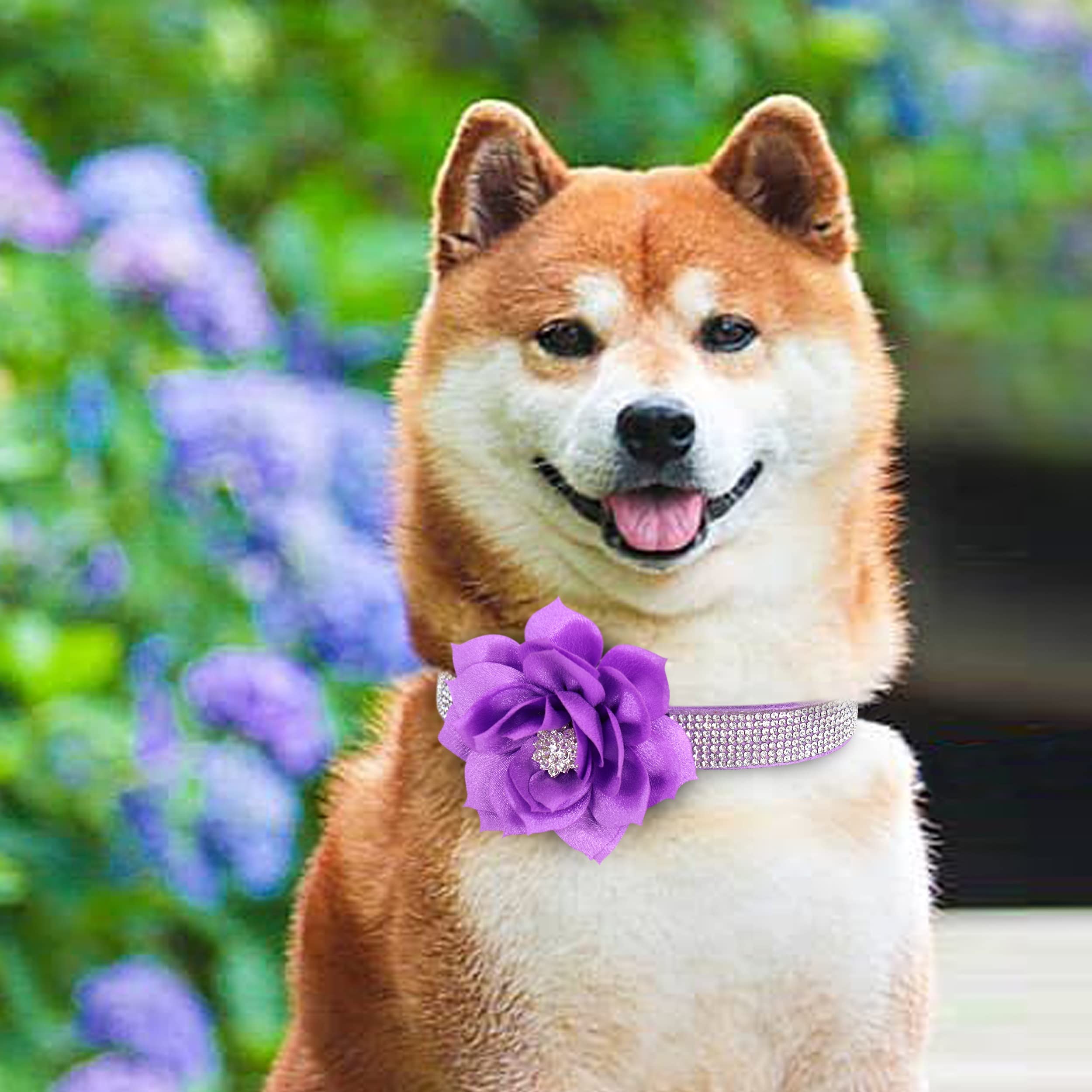 PET ARTIST talla XS, ideal para perros y gatos pequeños