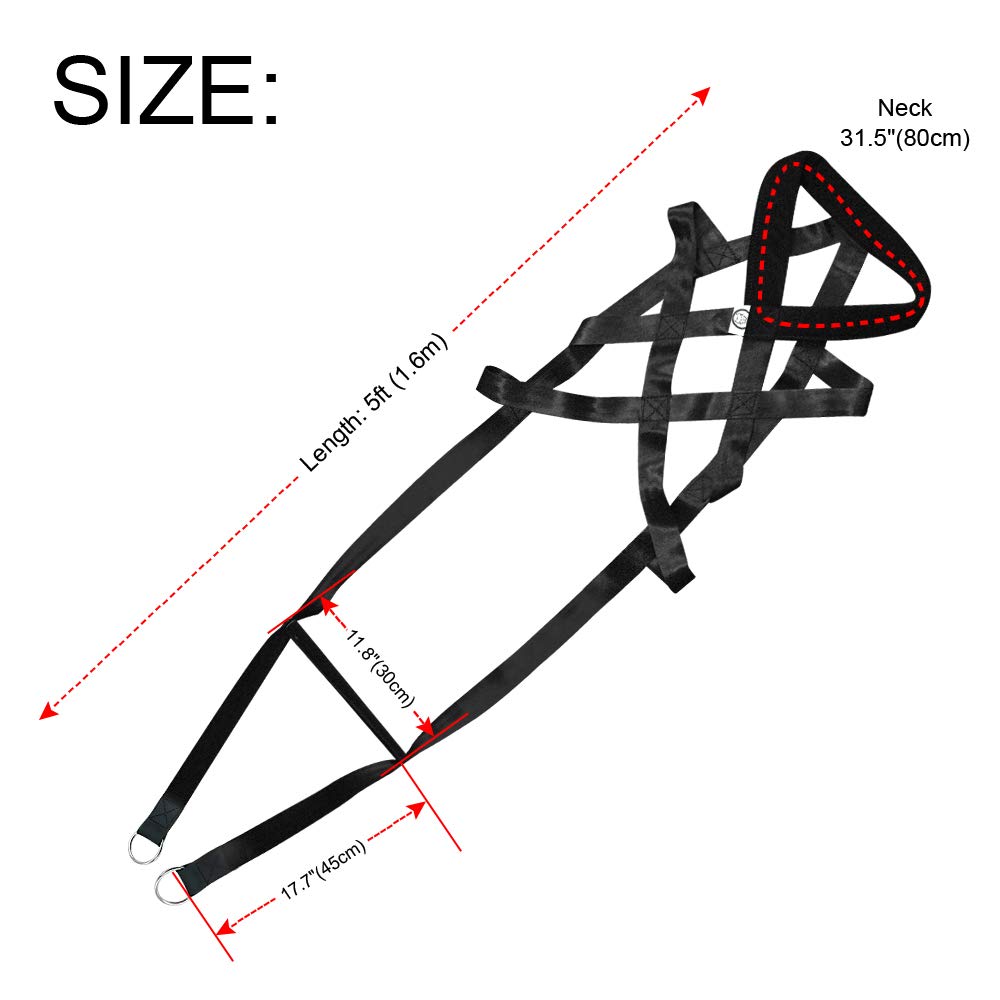PET ARTIST training harness supports behavior improvement with safe weight and traction.