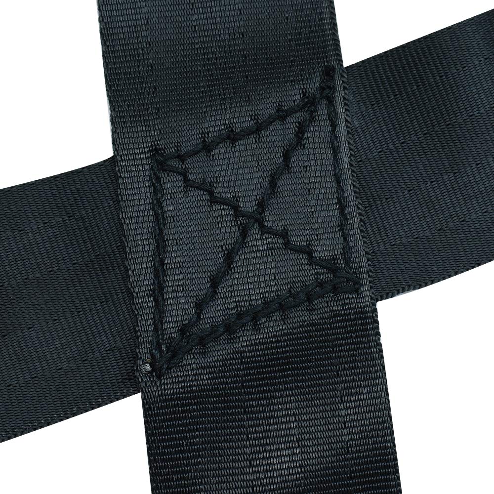 PET ARTIST weight-pulling harness for large dogs supports controlled training sessions.