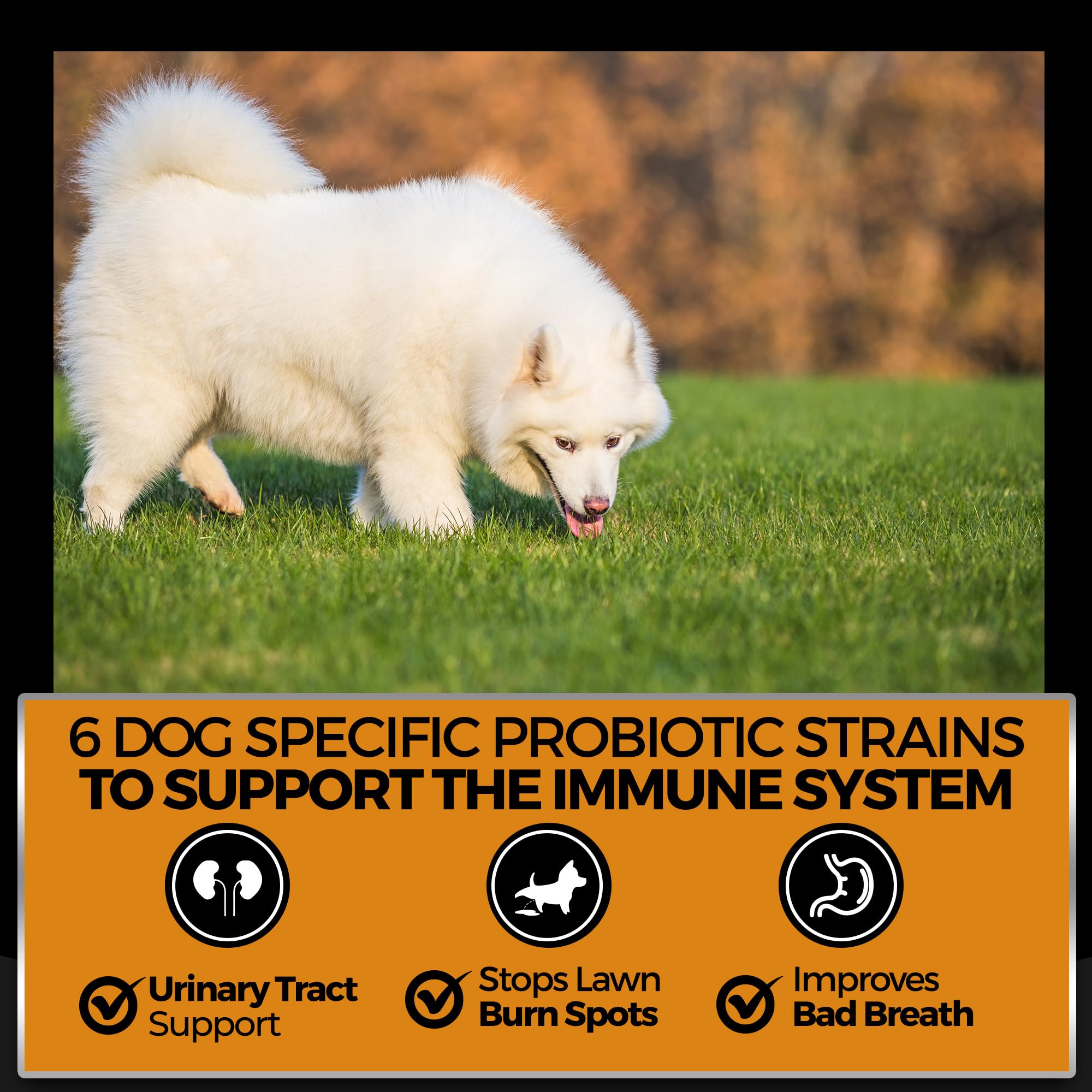 Pet Chef Nutrition sweet potato dog chews featuring vitamins A, C, E.