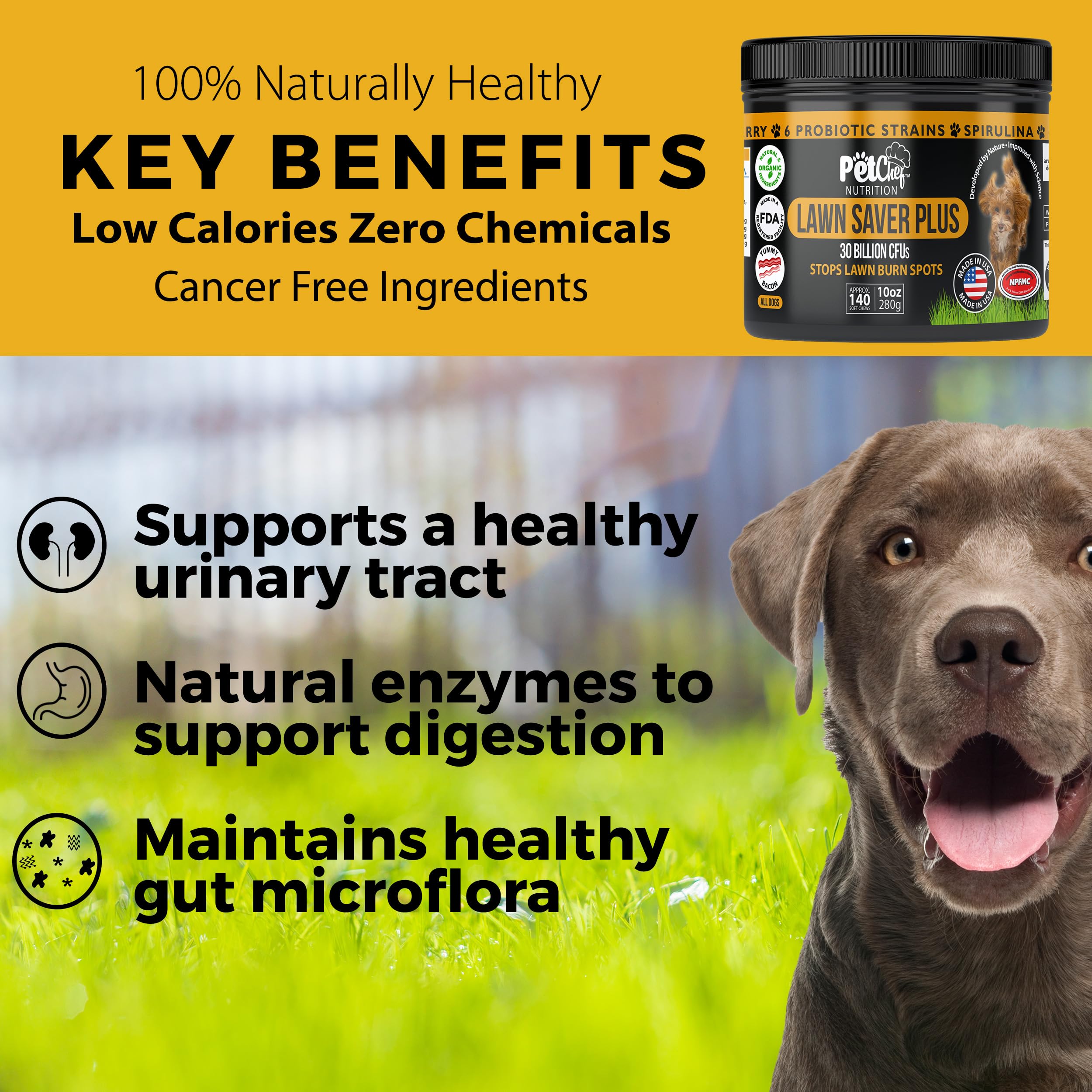 Pet Chef Nutrition probiotic dog chews close-up showing 30B CFUs for gut health.