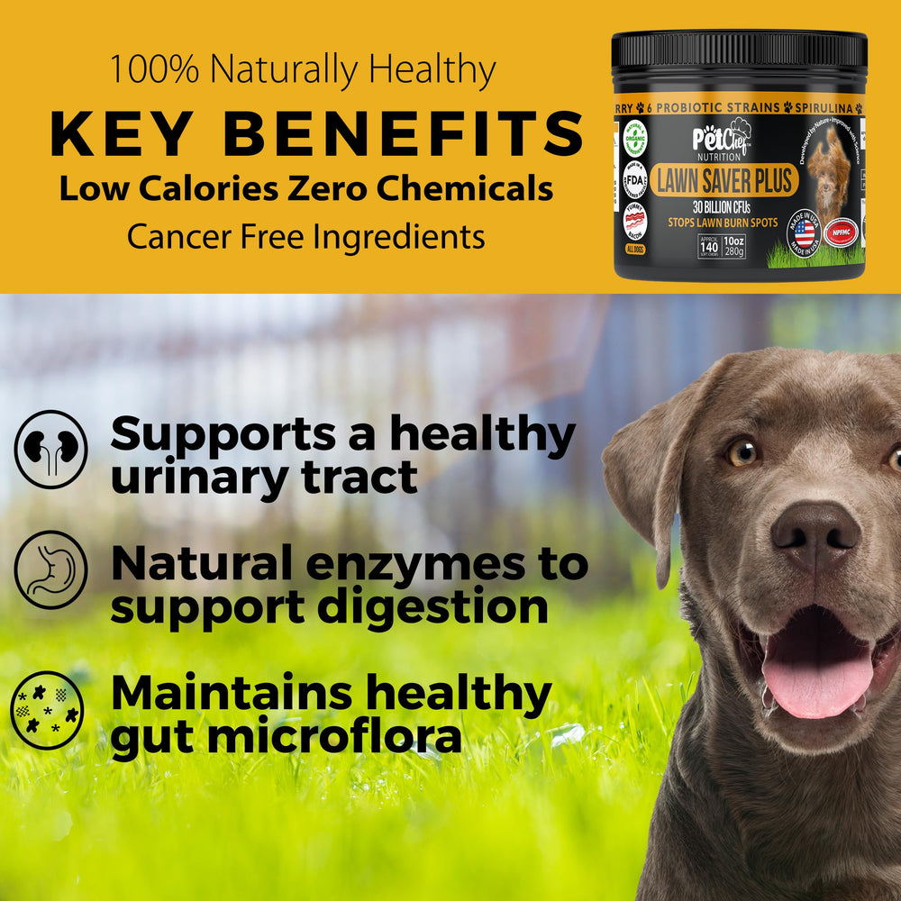 Pet Chef Nutrition probiotic dog chews close-up showing 30B CFUs for gut health.