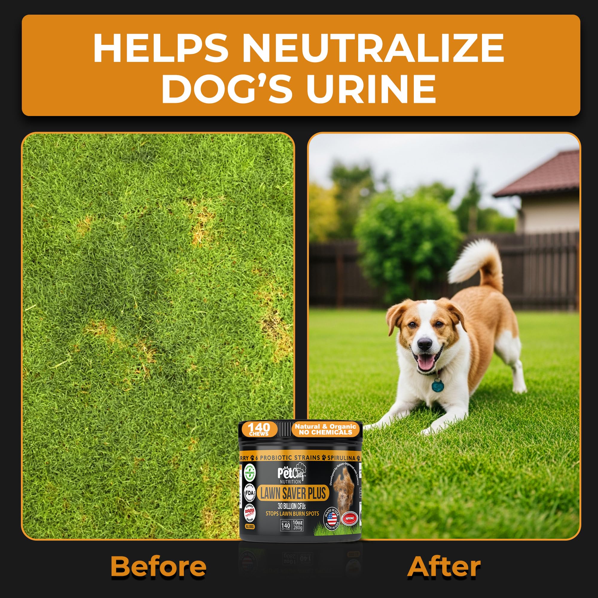 Pet Chef Nutrition spirulina Kona berry blend image suggests immune-supporting nutrition.