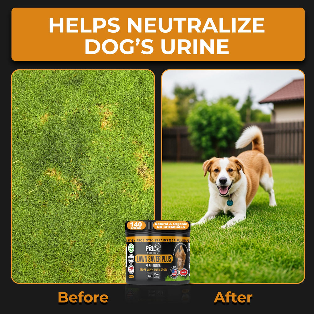 Pet Chef Nutrition spirulina Kona berry blend image suggests immune-supporting nutrition.