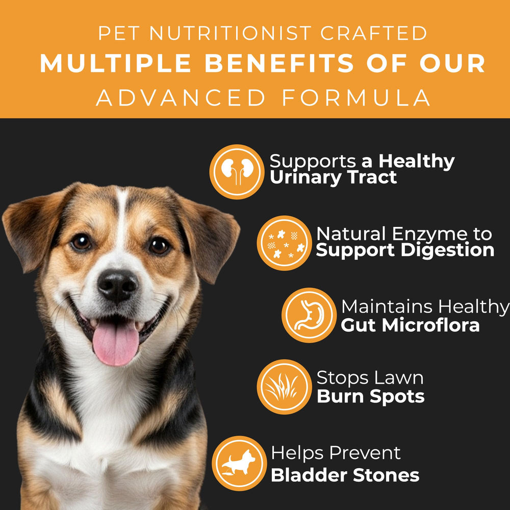 Pet Chef Nutrition value-packed jar highlights 140 chews for longer protection.