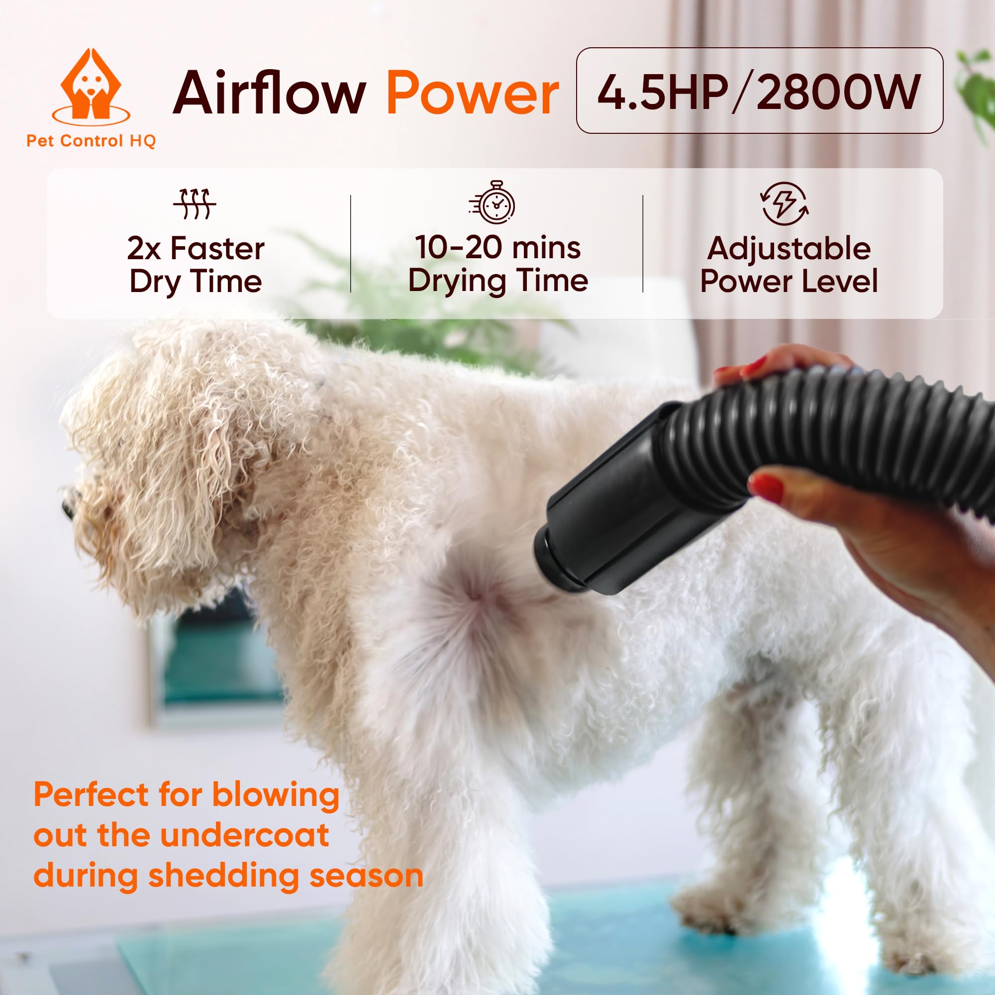 Pet Control HQ low-noise design keeps pets calm during grooming.