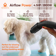 Pet Control HQ low-noise design keeps pets calm during grooming.
