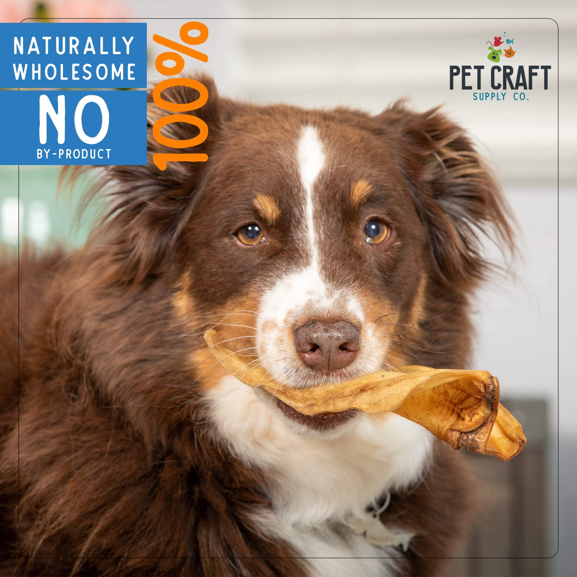 Pet Craft Supply long-lasting chew demonstrates durable texture for aggressive chewers