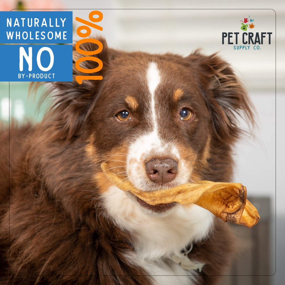 Pet Craft Supply long-lasting chew demonstrates durable texture for aggressive chewers