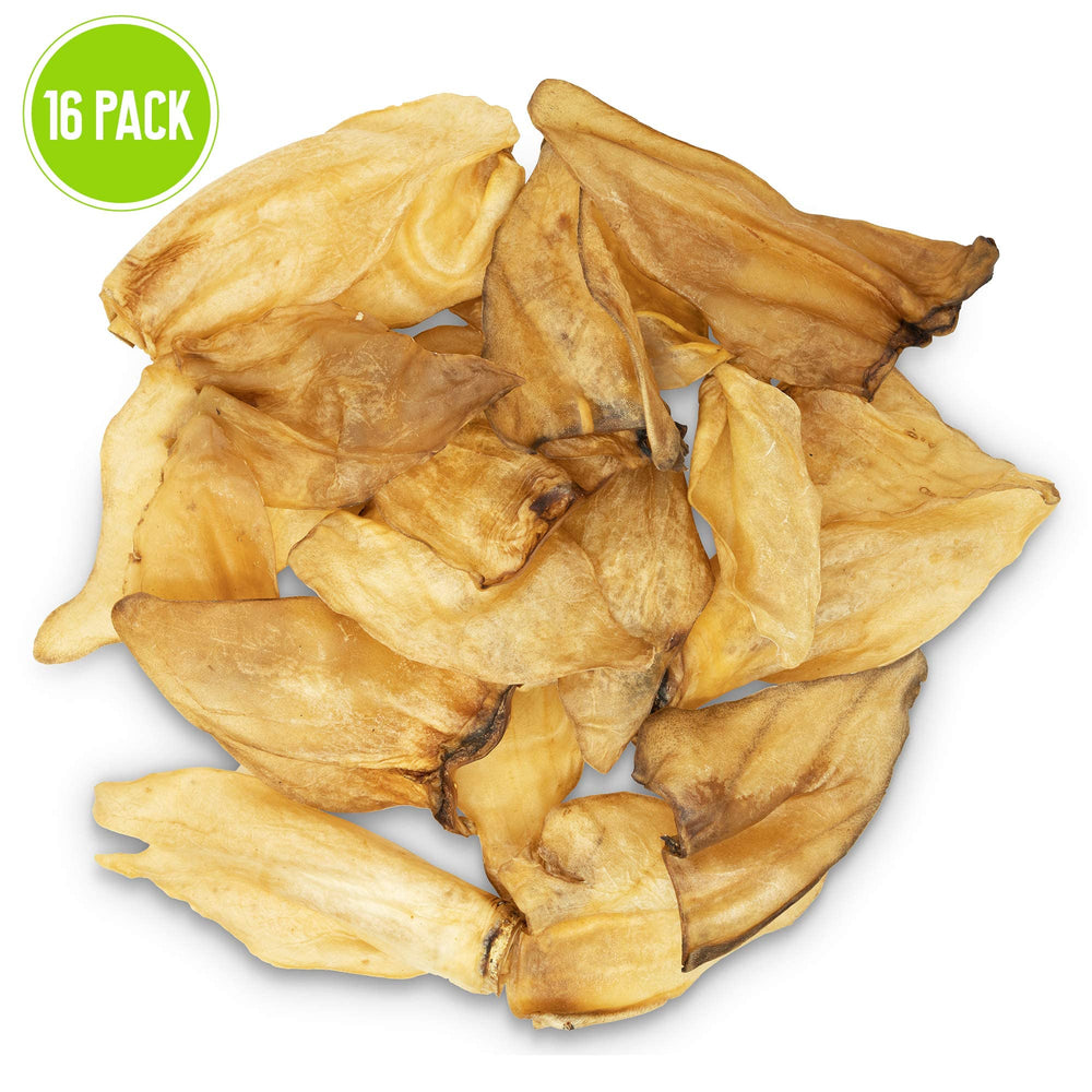 Pet Craft Supply safe alternative buffalo ear provides a dog chew option