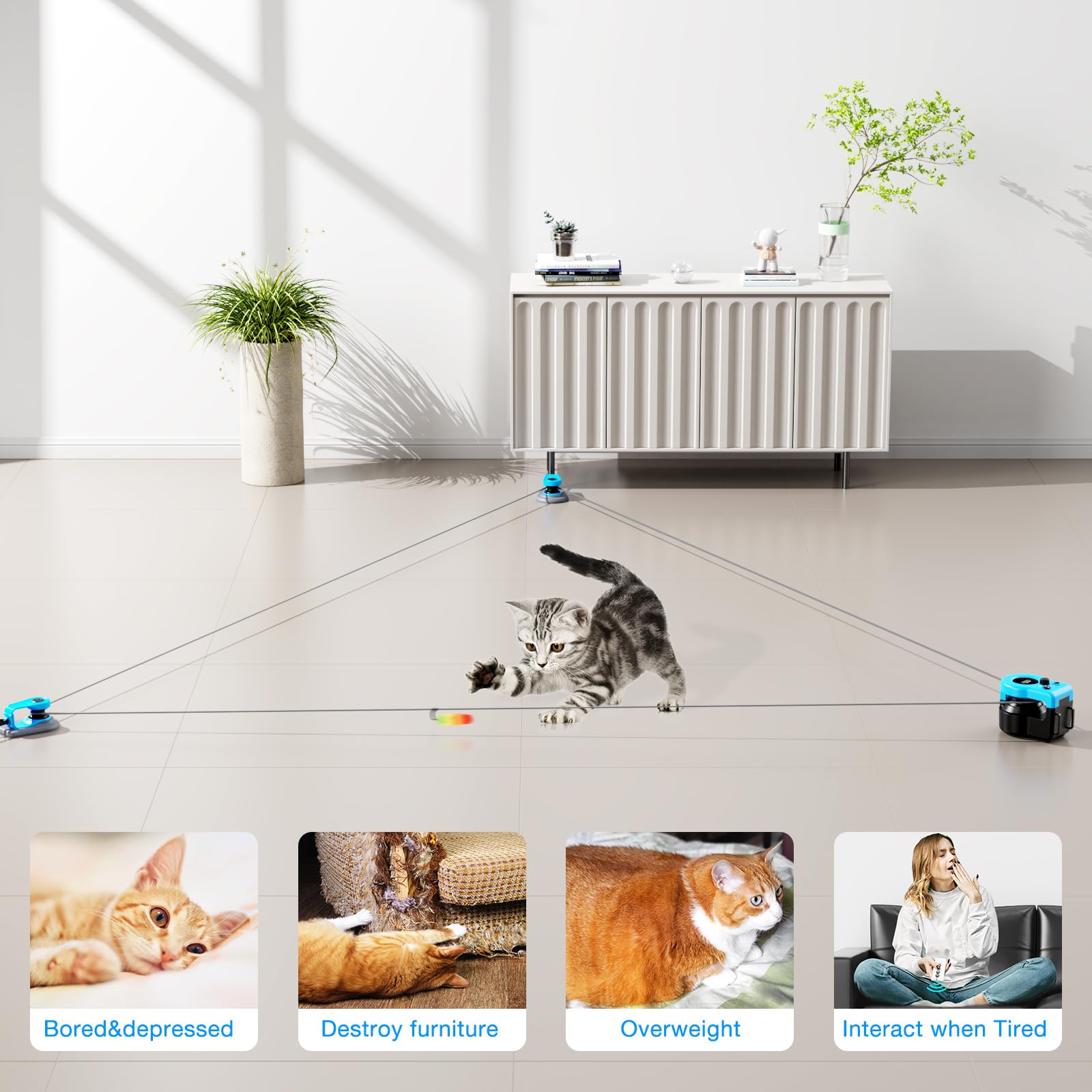 Pet Deluxe cat toy with clips for DIY chase paths