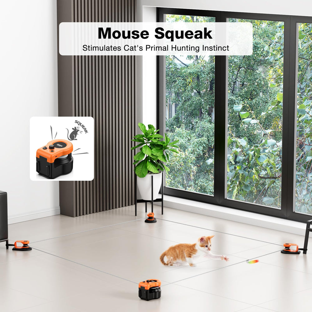Pet Deluxe DIY chase-path setup shows customizable fun with 60m rope and clips.