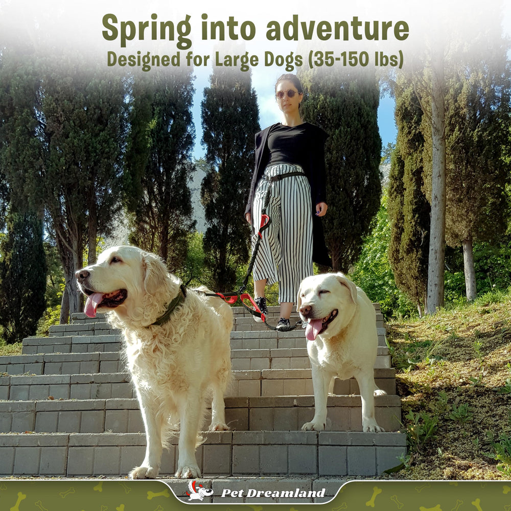 Pet Dreamland waist belt with soft handles for comfortable, extended walks.
