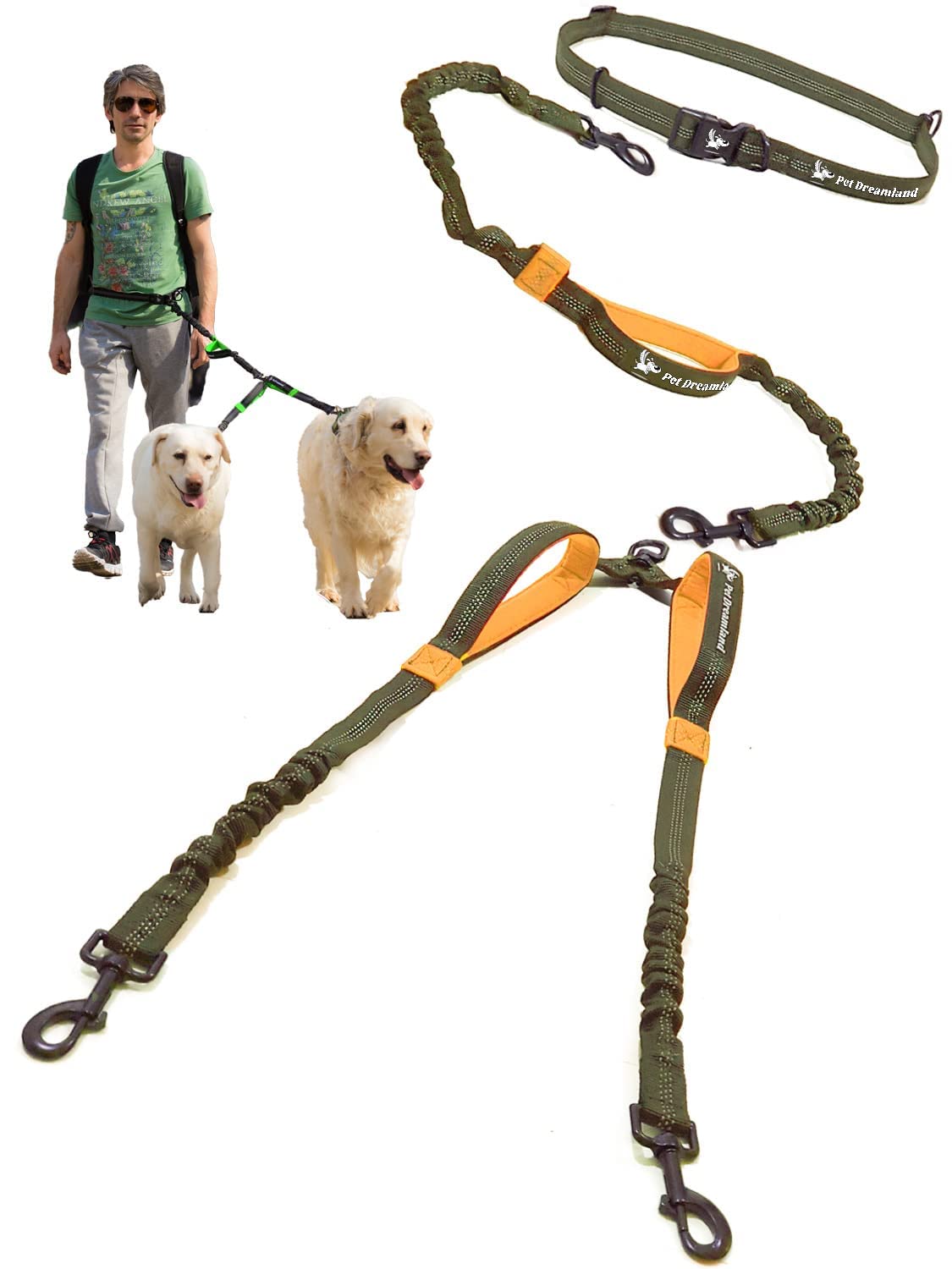 Pet Dreamland Exquisite hands-free double dog leash in action for effortless park walks.