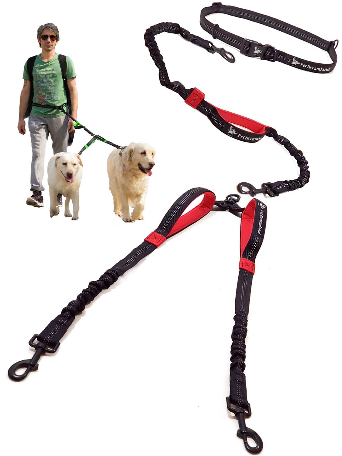 Pet Dreamland double leash two dogs in hands-free setup for effortless walking.
