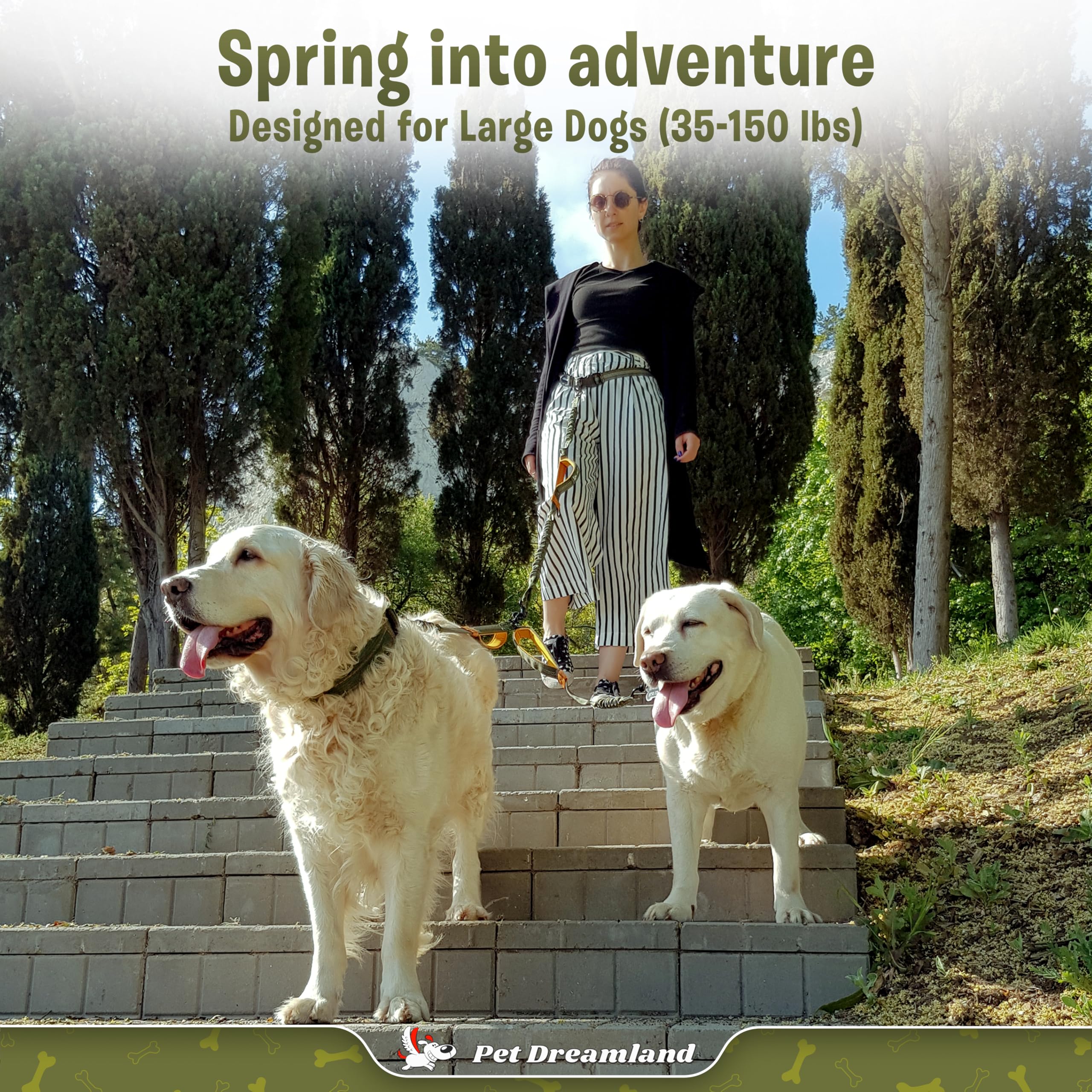 Pet Dreamland Exquisite two-dogs leash setup enabling synchronized running for two dogs.