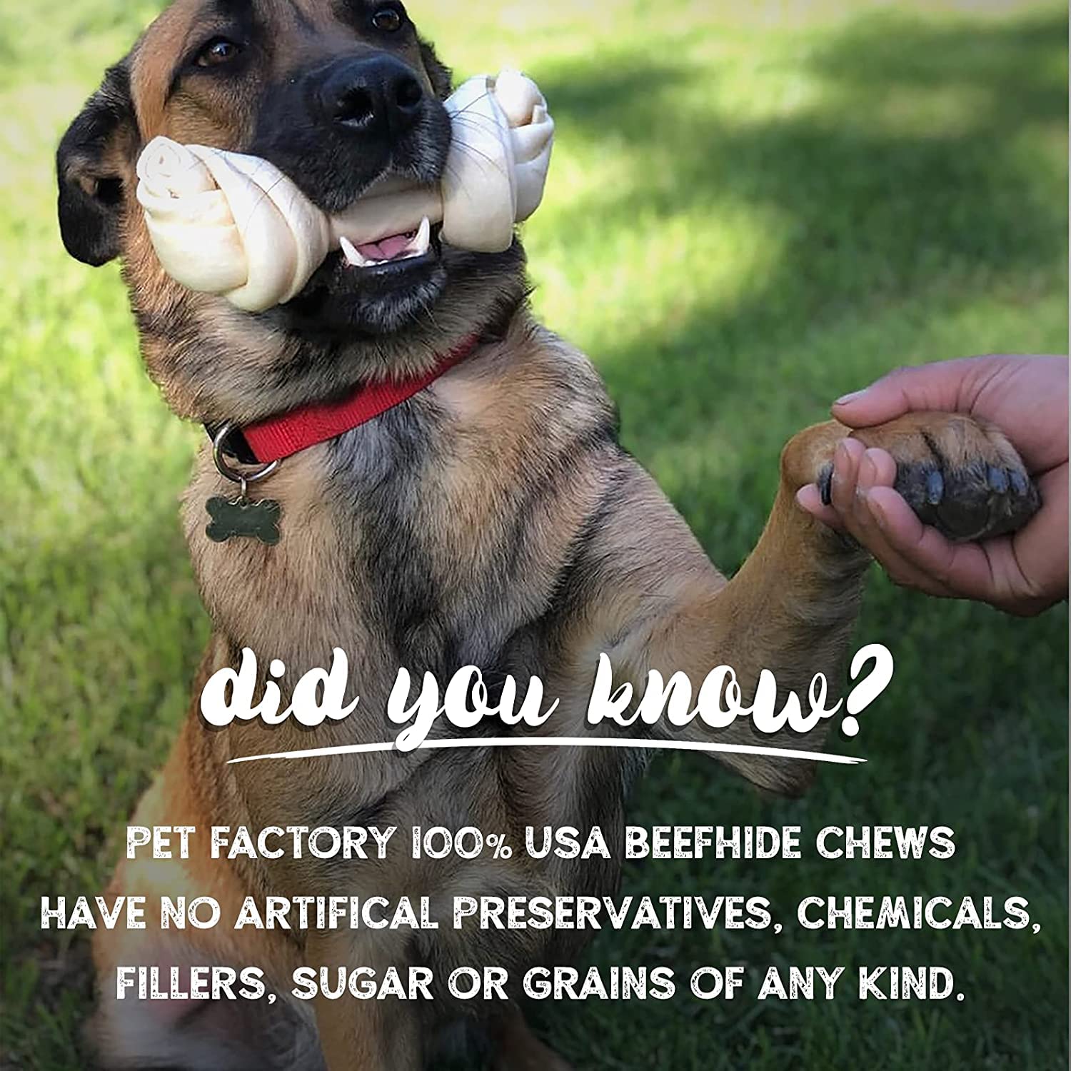 Pet Factory beefhide chip roll packaging back view shows ingredient transparency and safety