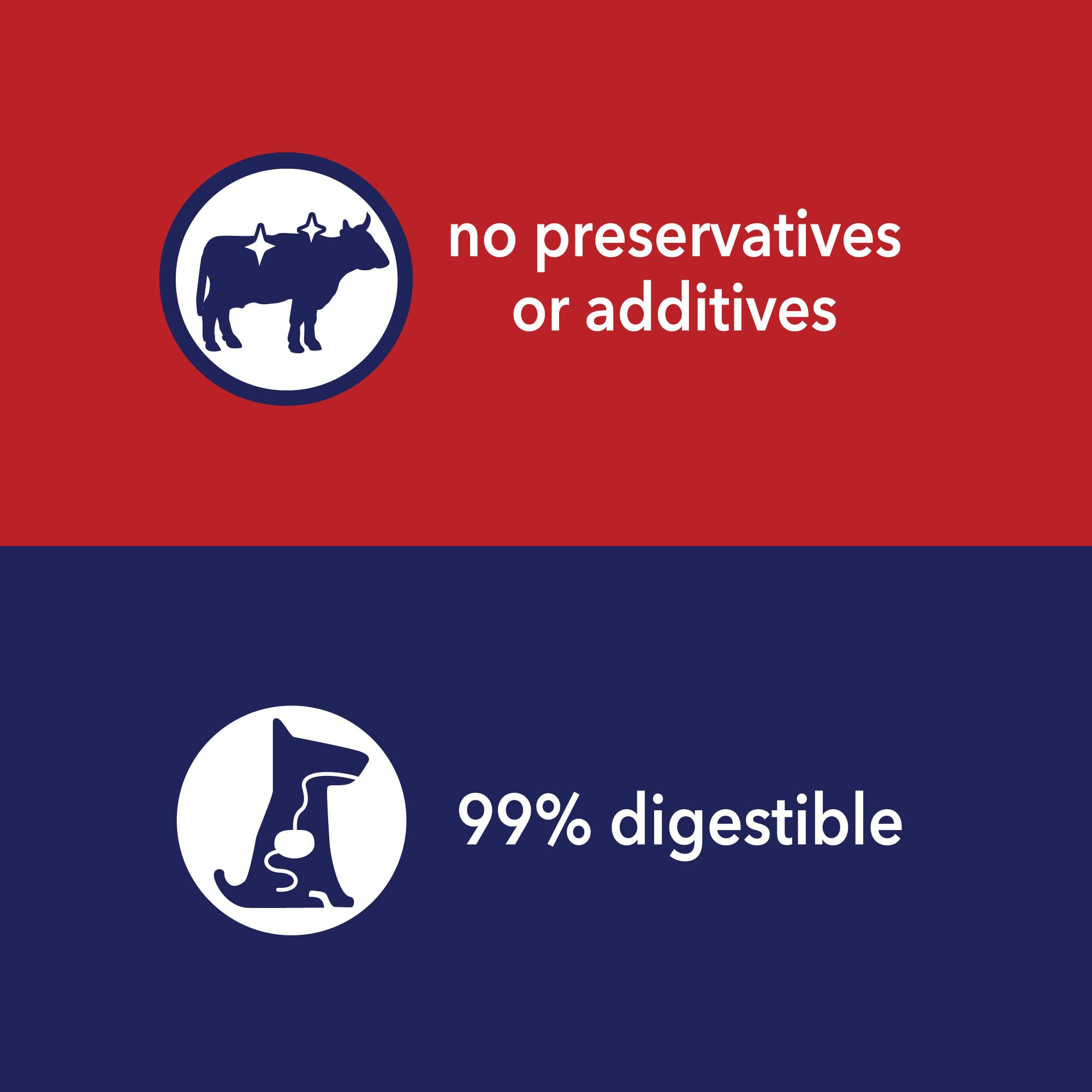 Pet Factory dental chews support enjoyable chew-time without brushing.