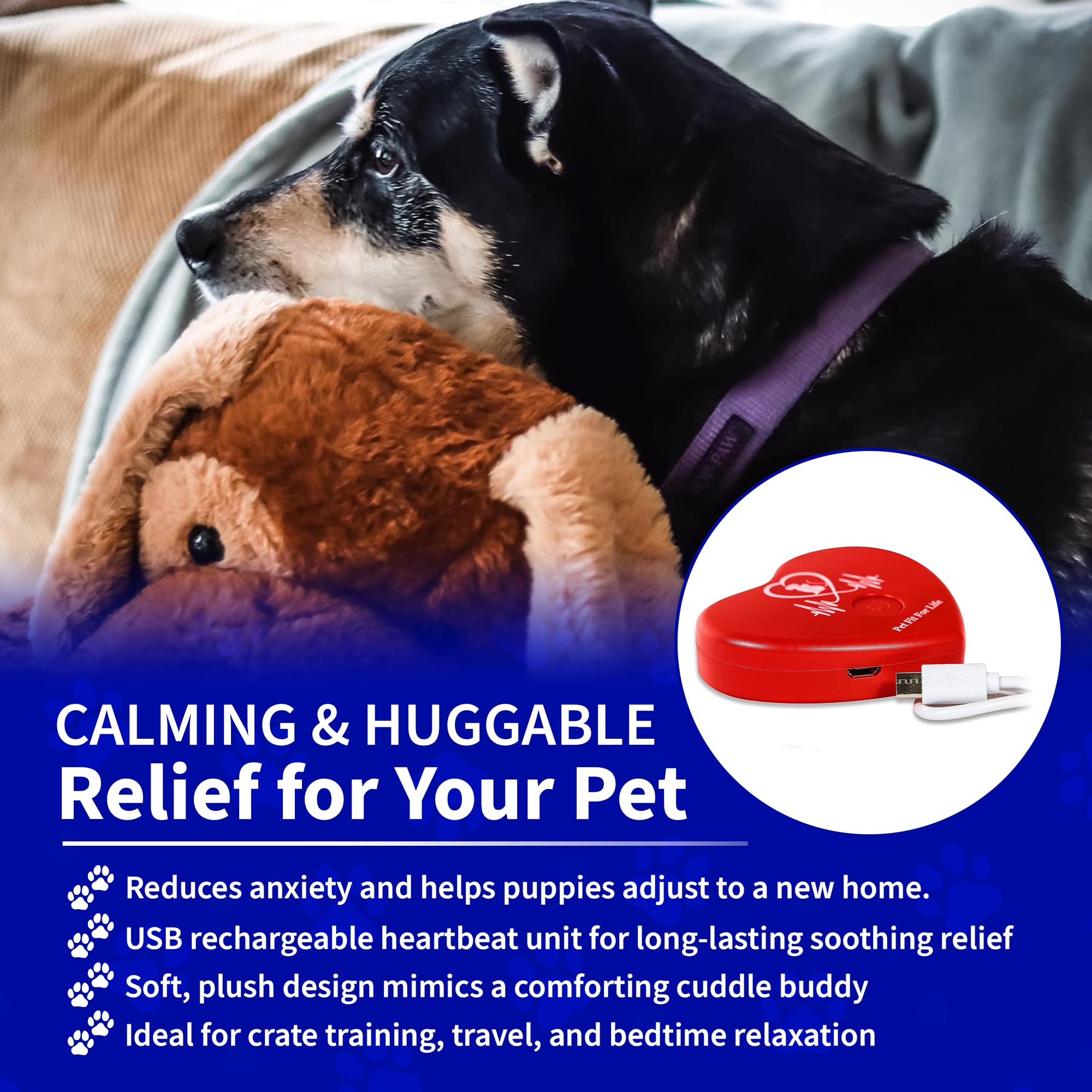 Pet Fit For Life crate-training-dog-sleep-aid supports calm nights and reduced whining during crate time.
