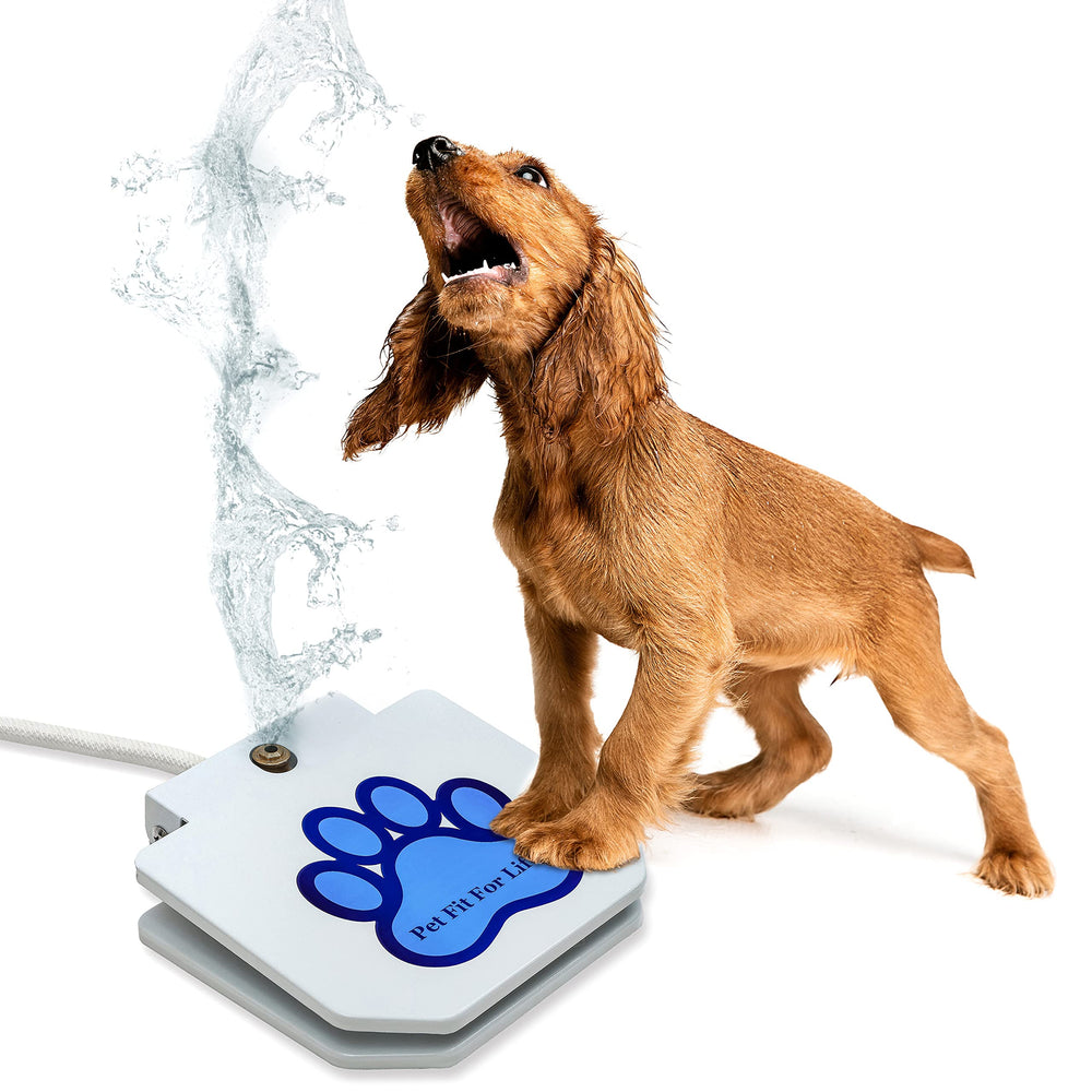 Pet Fit For Life hose splitter keeps yard chores flowing while pets stay cool