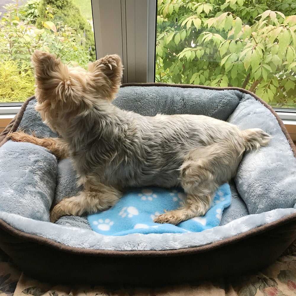 Pet Fit For Life Snuggle Soft Pad flat lay shows versatile size and design